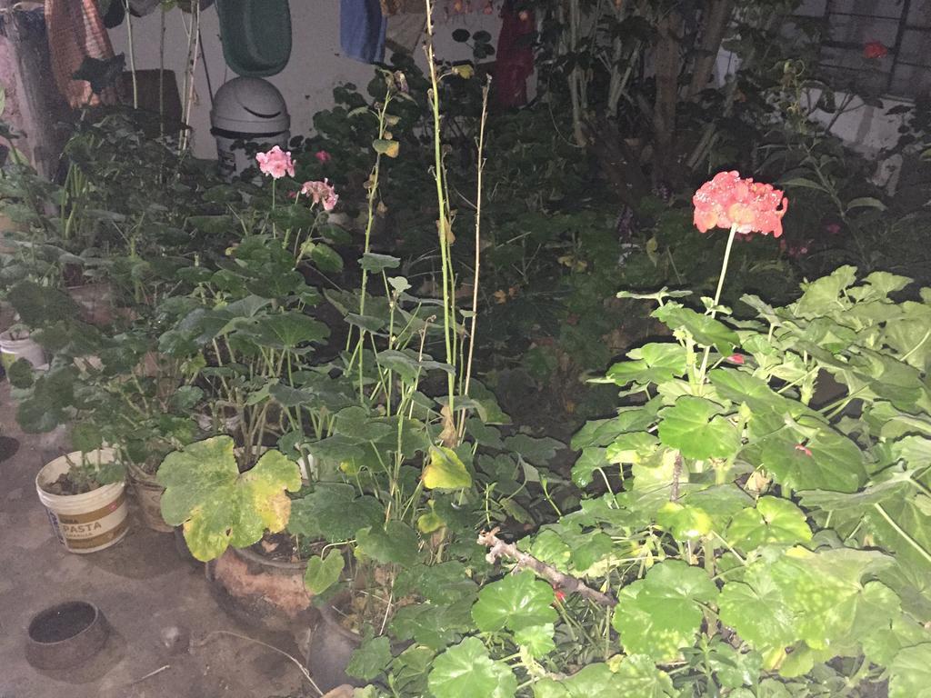 דירות קחמרקה Casa Mirita מראה חיצוני תמונה