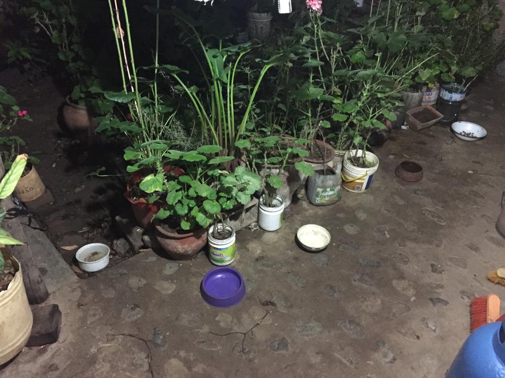 דירות קחמרקה Casa Mirita מראה חיצוני תמונה